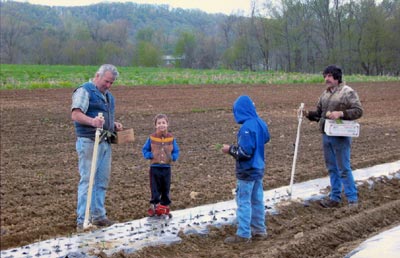 planting with stand n plant seeder tool