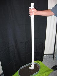 Poke seeder into prepared seed bed Poke seeder into prepared seed bed