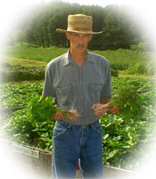 tator man uses stand n plant